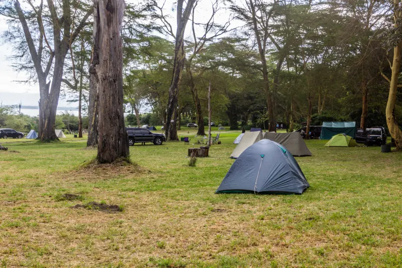 Camp Carnelly’s