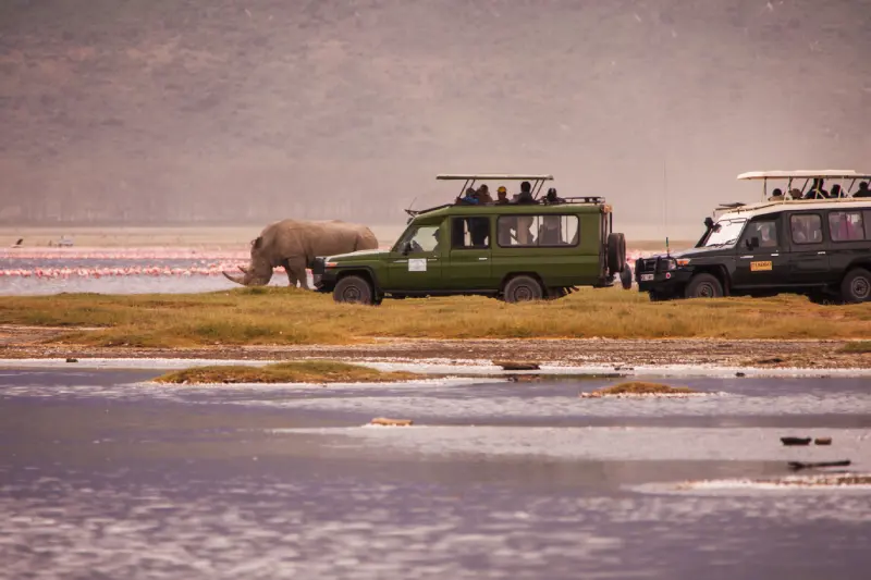 Exploring Lake Nakuru