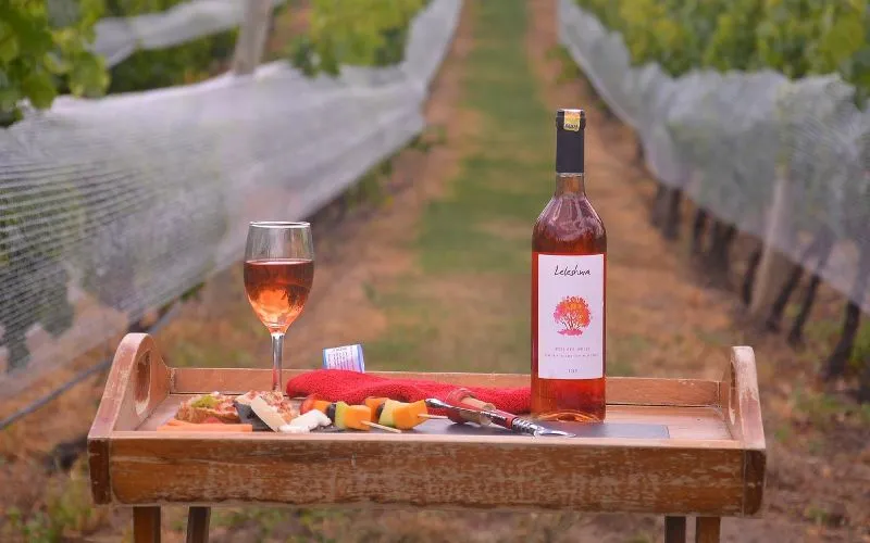 Wine tasting at Morendat Farm, Naivasha