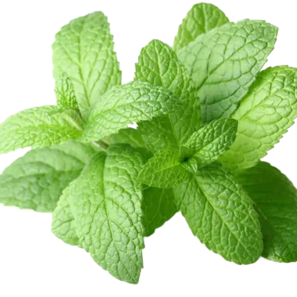 Peppermint