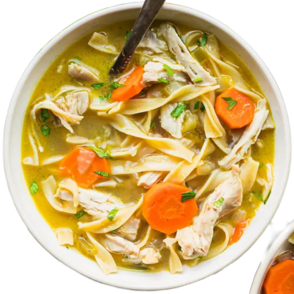 Chicken noodle soup