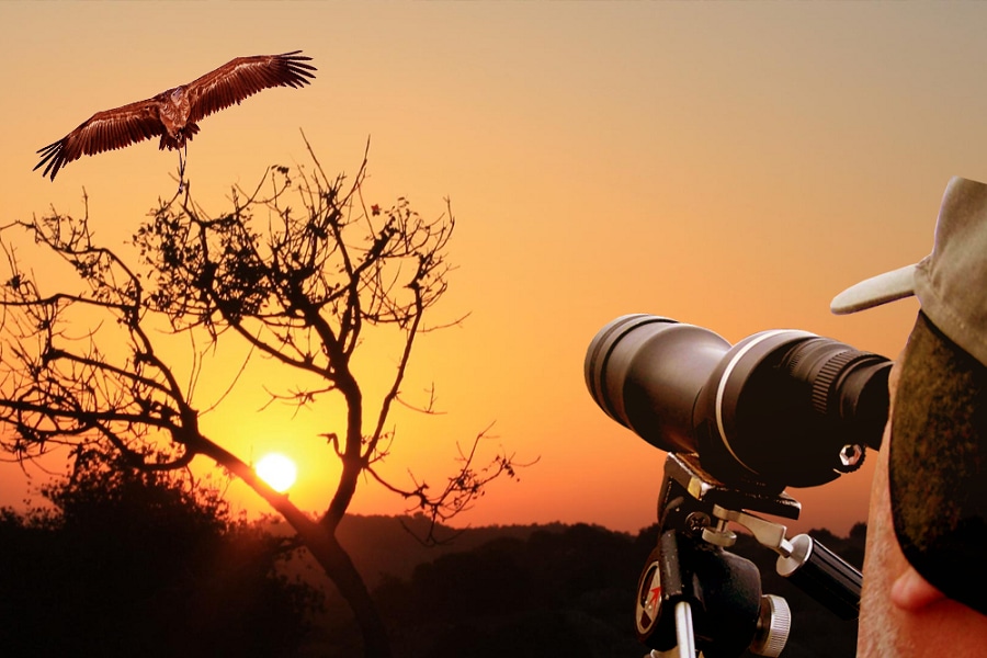 Bird Viewing Spots at Karagita and Ose Beach Naivasha