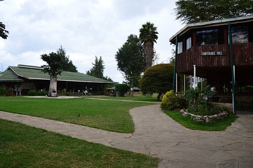 Crayfish Camp: A Unique Culinary Experience Near Lemaiyan Suites.