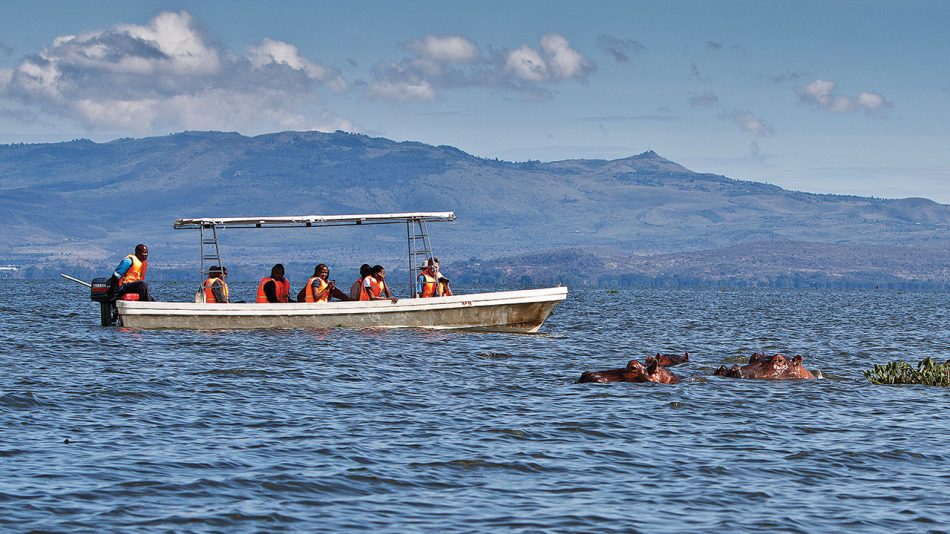 Genesis Boat Ride: Peace and Wildlife on Lake Naivasha