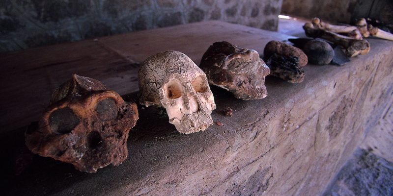 Kariandusi Museum: Discover Kenya’s Prehistoric Past Near Lemaiyan Suites