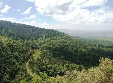 Kijabe Escarpment Viewpoints Naivasha
