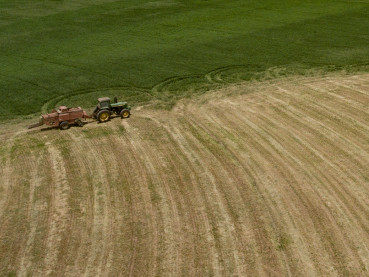 Morendat Farm and Vineyard Naivasha | Farm Tour Around Naivasha’s Elegance.
