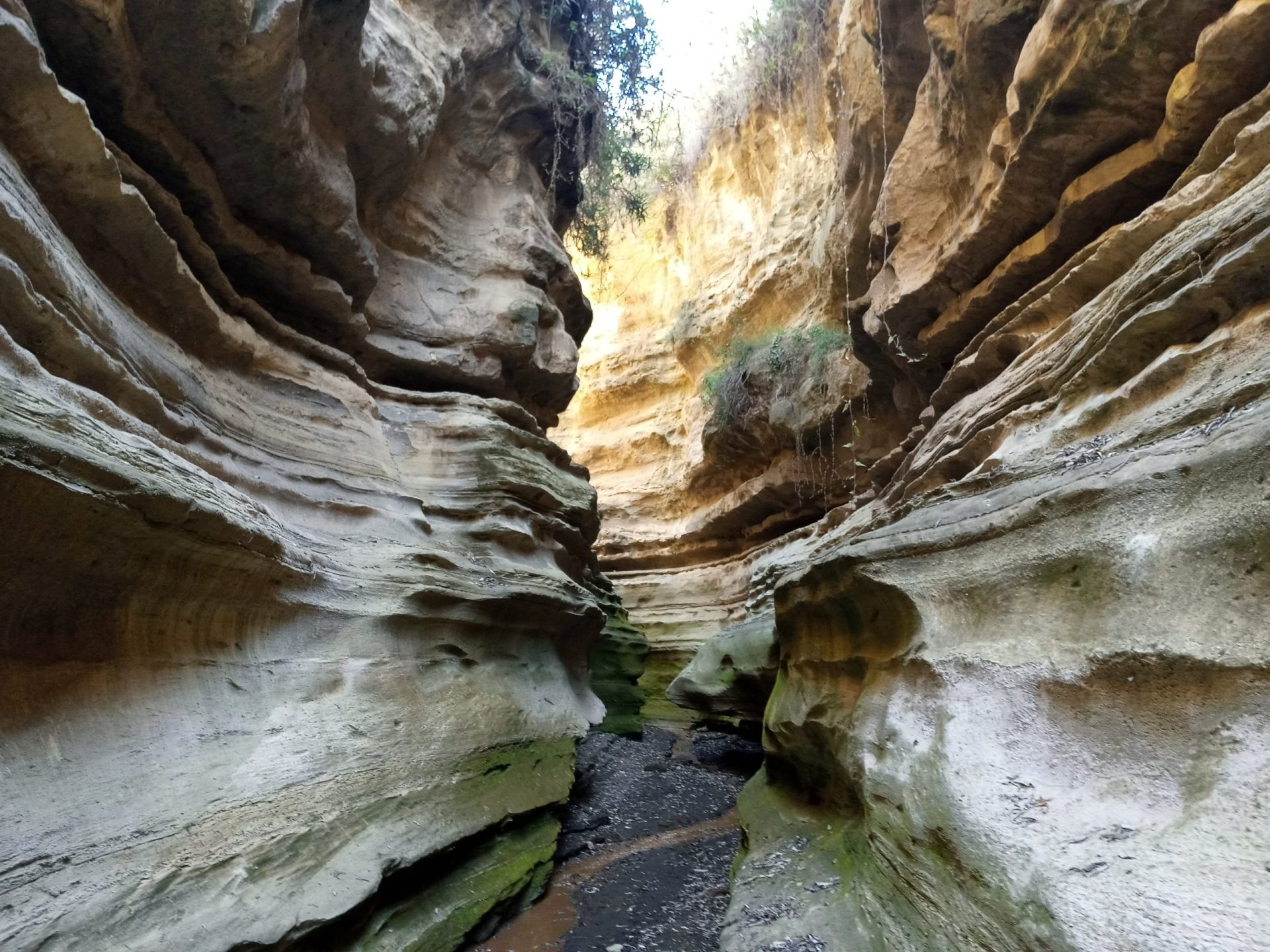 Hiking Ol Njorowa Gorge: Adventure Around Lemaiyan Suites